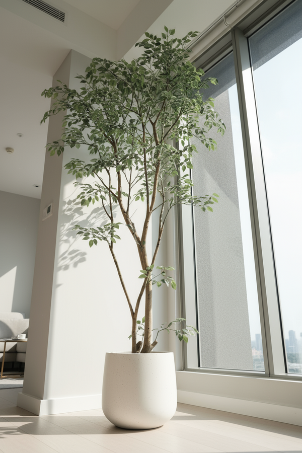 Ficus - Real-Trunk Artificial - Potted plant -  Tumbleweed Plants