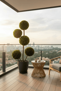 Ball Tree - Real - Trunk Artificial - Potted plant - 5516314535781 - Tumbleweed Plants - Online Plant Delivery Singapore