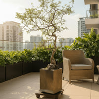 Chaste Tree - Real-Trunk Artificial