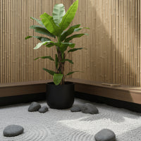 Banana Tree (Life-life Artificial)