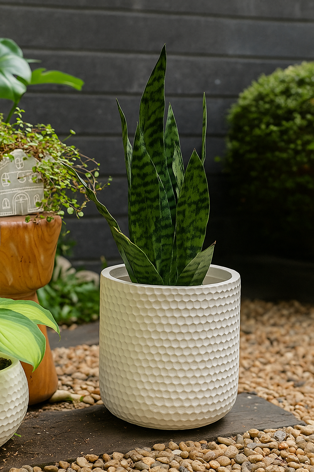 Tall Dotted Pot - Large