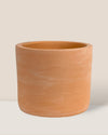 Terracotta Plinth Pot (no drainage hole) - Pots -  Tumbleweed Plants