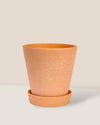 Small Terracotta Pot with Tray - Pot - Tumbleweed Plants - Online Plant Delivery Singapore