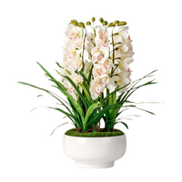 Cymbidium Flowers Arrangement (Faux)