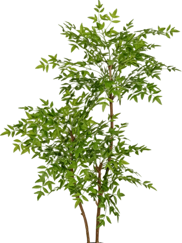 Southern Sky Bamboo (Life-like Artificial)