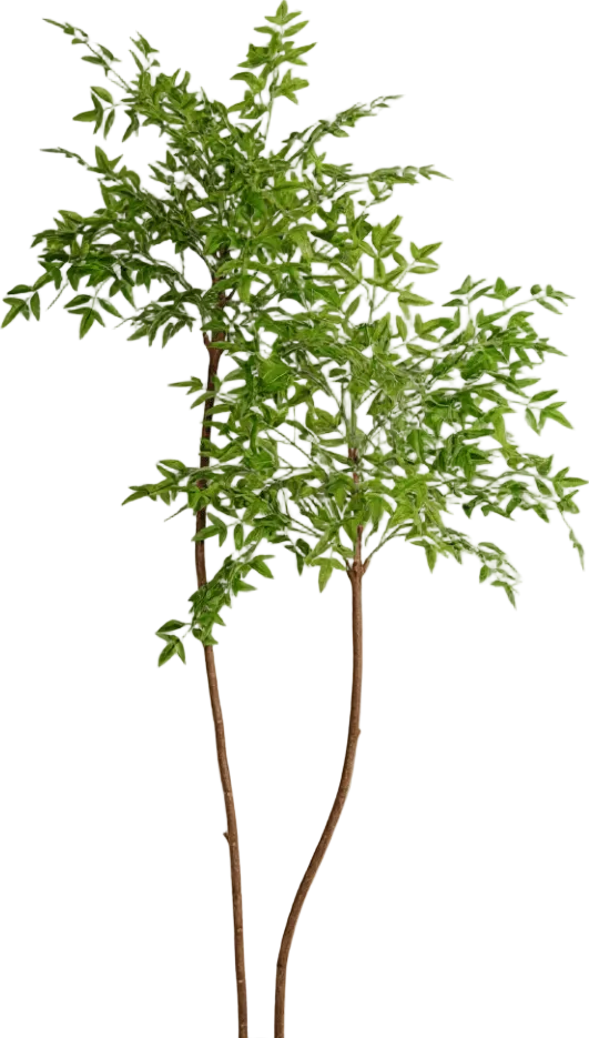 Southern Sky Bamboo (Life-like Artificial)