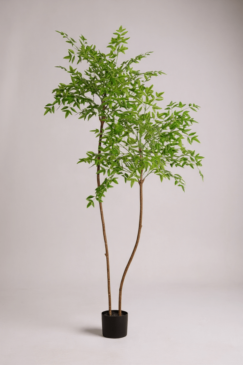 Southern Sky Bamboo (Life - like Artificial) - Potted plant - POTT - SOUT - GRW - 6849 - Tumbleweed Plants - Online Plant Delivery Singapore