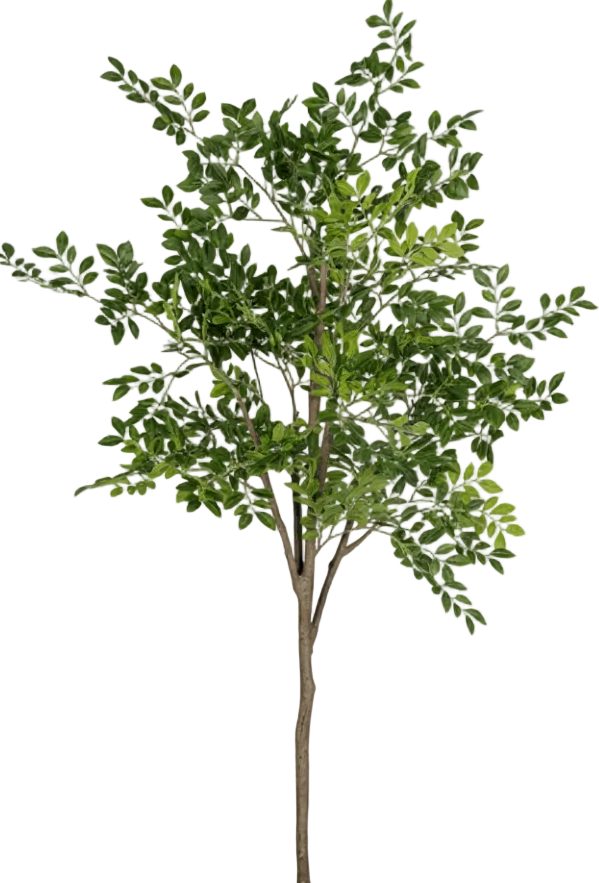 Elm Money Tree (Life-like Artificial)