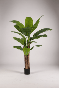 Banana Tree (Life - life Artificial) - Potted plant - 5103784103175 - Tumbleweed Plants - Online Plant Delivery Singapore