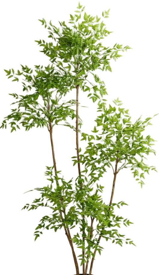 Southern Sky Bamboo (Life-like Artificial)