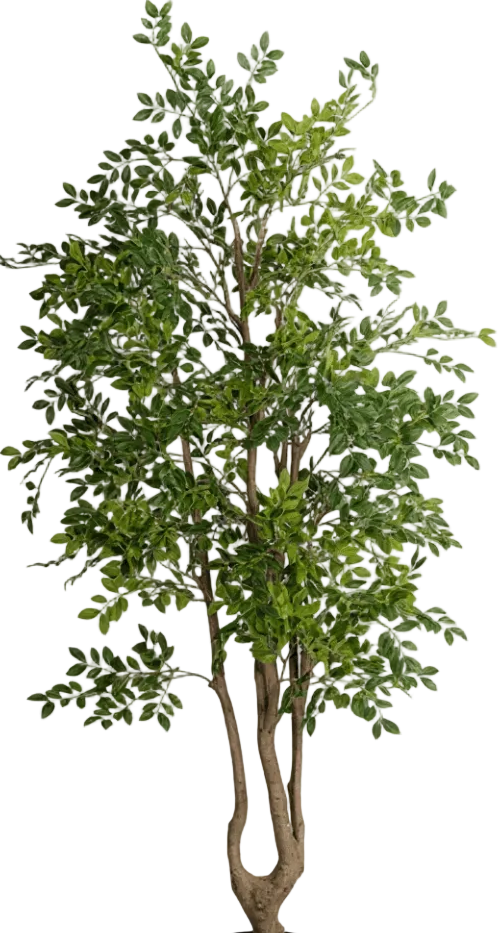 Elm Money Tree (Life-like Artificial)