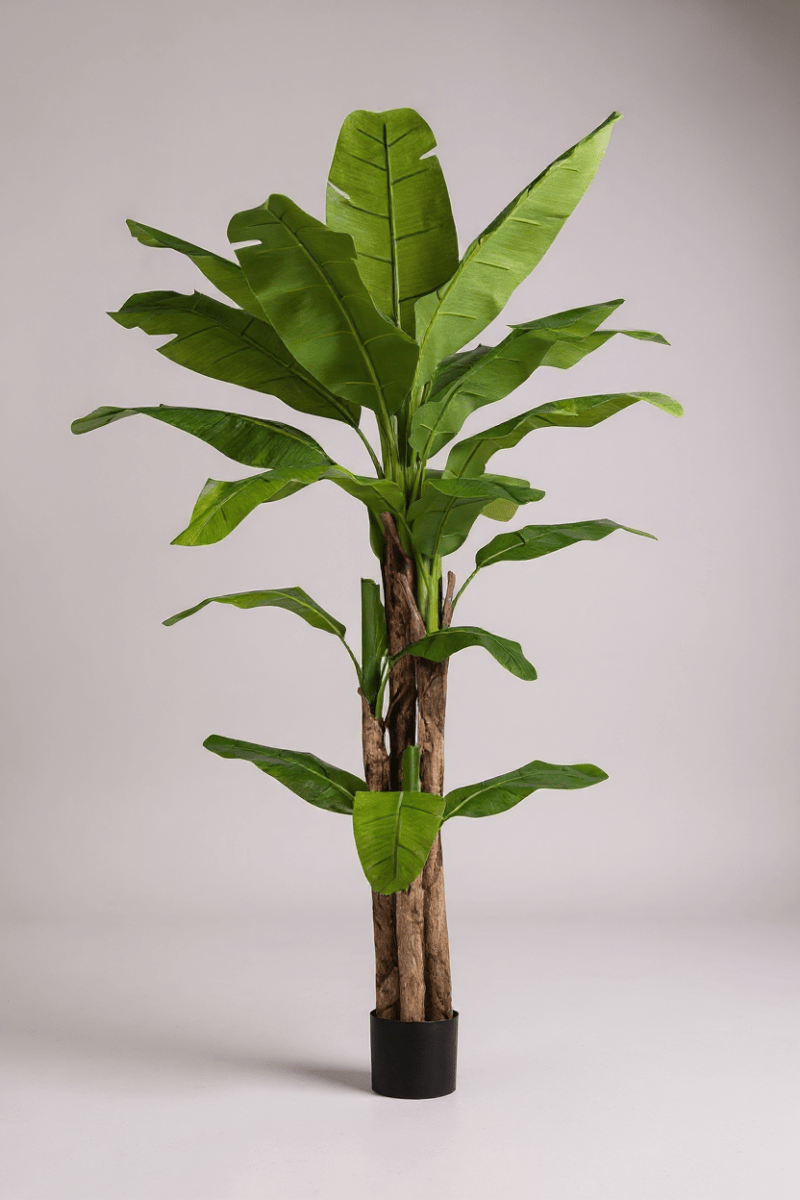 Banana Tree (Life - life Artificial) - Potted plant - 5103784103177 - Tumbleweed Plants - Online Plant Delivery Singapore