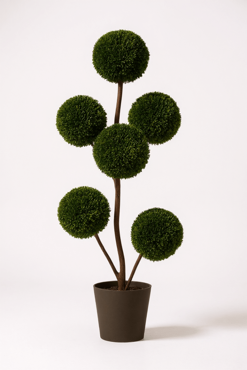 Ball Tree - Real - Trunk Artificial - Potted plant - 5516314535783 - Tumbleweed Plants - Online Plant Delivery Singapore