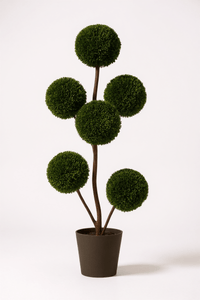 Ball Tree - Real - Trunk Artificial - Potted plant - 5516314535783 - Tumbleweed Plants - Online Plant Delivery Singapore