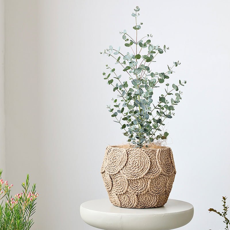 WeaveStone Pot - Medium - Planter - 5746269720536 - Tumbleweed Plants - Online Plant Delivery Singapore