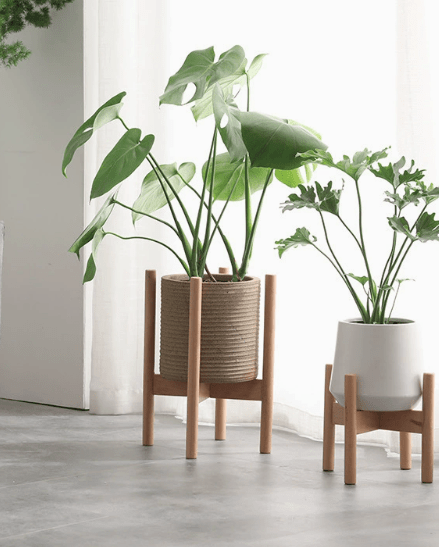 Wooden Plant Stands - Plant Stand - PLAN - WOOD - MDMBMB - 6911 - Tumbleweed Plants - Online Plant Delivery Singapore