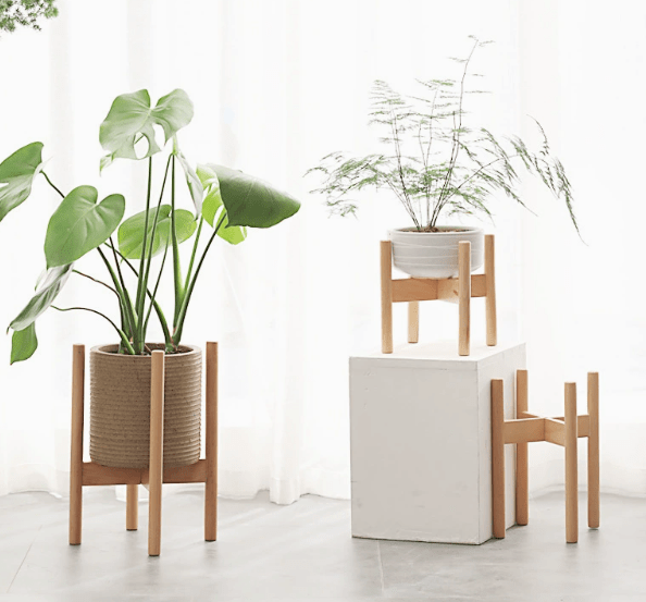 Wooden Plant Stands - Plant Stand - PLAN - WOOD - MDMBMB - 6911 - Tumbleweed Plants - Online Plant Delivery Singapore