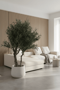 XL Olive Tree Centerpiece - Real - Trunk Artificial - Potted plant - 5516314535781 - Tumbleweed Plants - Online Plant Delivery Singapore