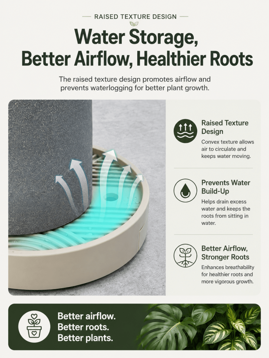 Plant Trolley Tray with Wheels - Plant Accessories - 5282075949744 - Tumbleweed Plants - Online Plant Delivery Singapore