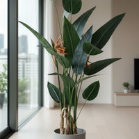 Artificial Heliconia Plant