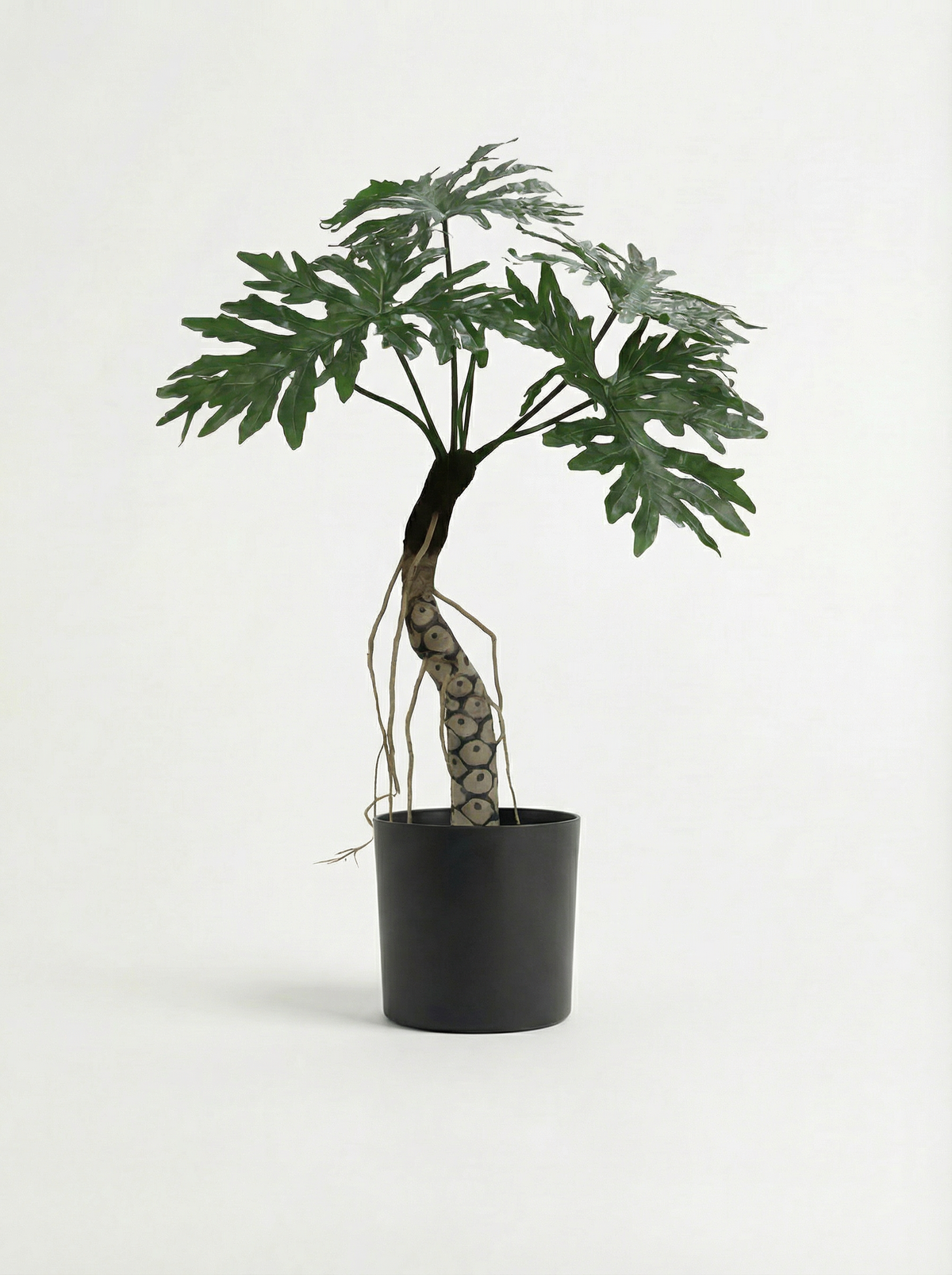 Dragon Scales (Life-like Artificial)