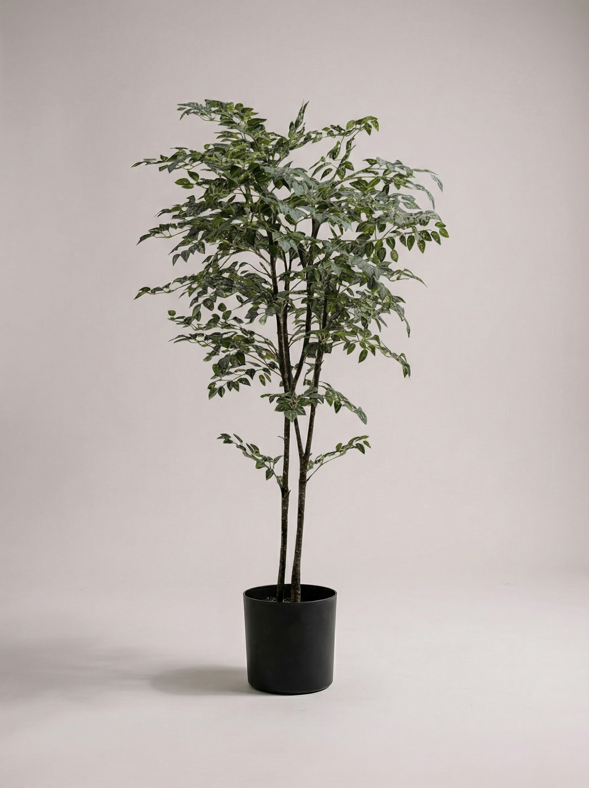 Banyan Tree - Real-Trunk Artificial