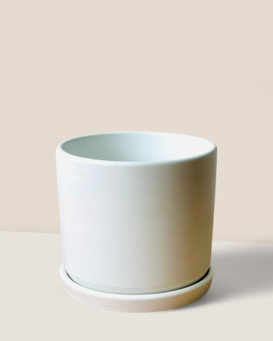 Abigail Pot with Tray