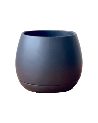 Addie Planter - Pots - POT - ADDI - LRGBLC - 2867 - Tumbleweed Plants - Online Plant Delivery Singapore