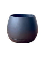 Addie Planter