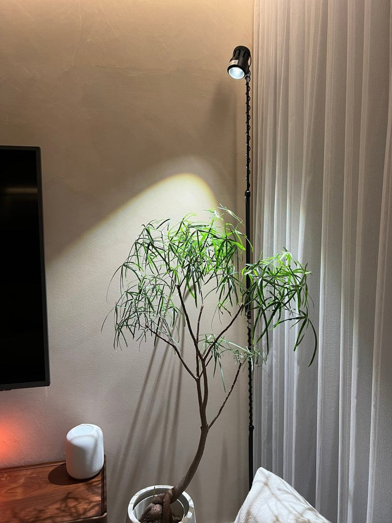 Adjustable Spotlight (2m) - Black - Accessory - Tumbleweed Plants - Online Plant Delivery Singapore