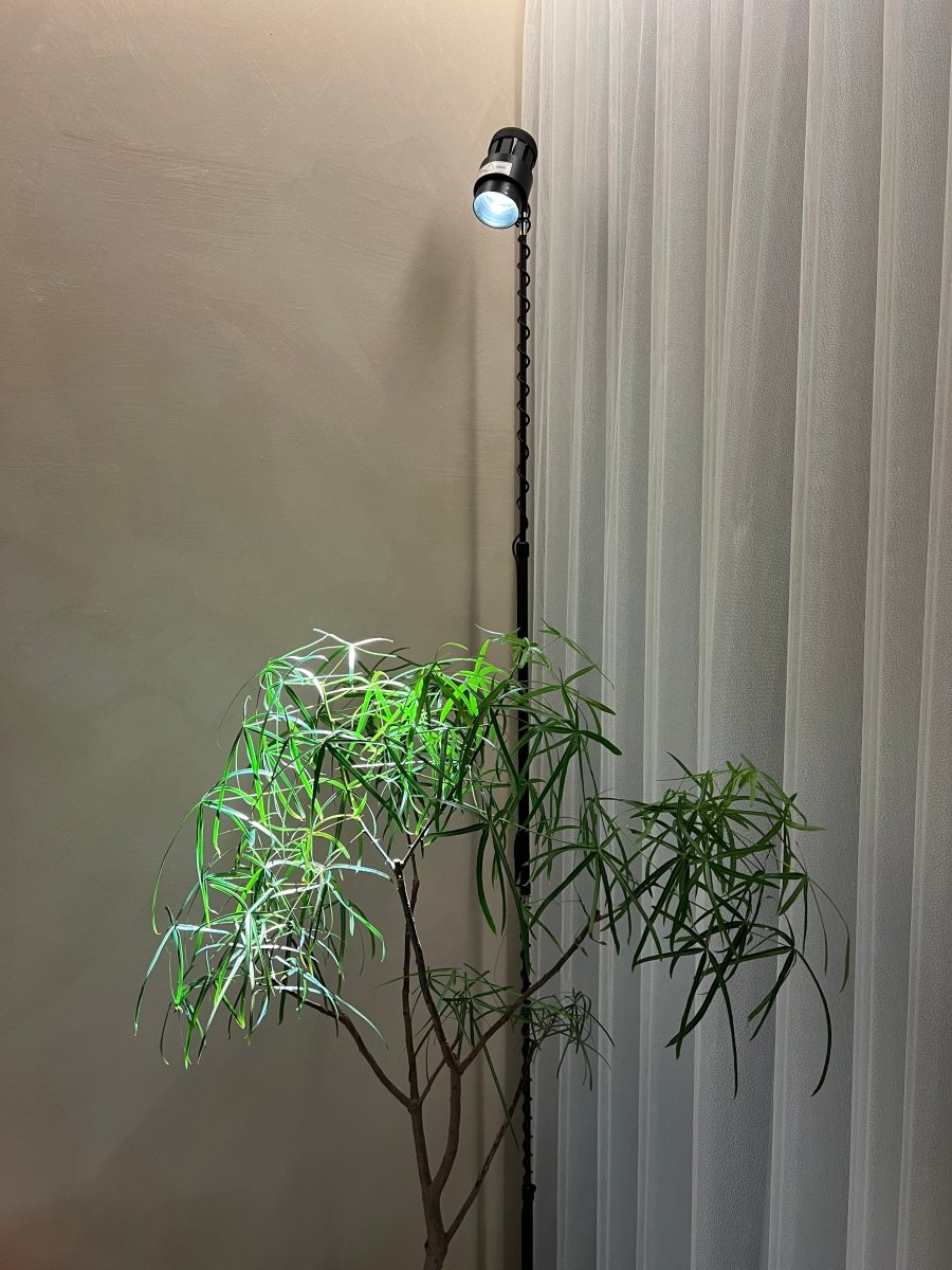 Adjustable Spotlight (2m) - White - Accessory - Tumbleweed Plants - Online Plant Delivery Singapore