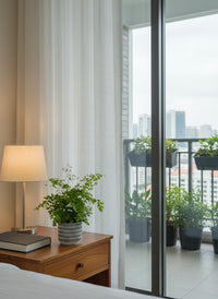 Adiantum - Maidenhair Fern Plant