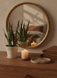 Sansevieria Trifasciata 'Bantel's Sensation' - Potted plant -  Tumbleweed Plants