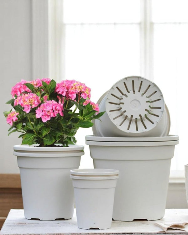 AirLite Growpot - XL - Planter - 5748857433831 - Tumbleweed Plants - Online Plant Delivery Singapore