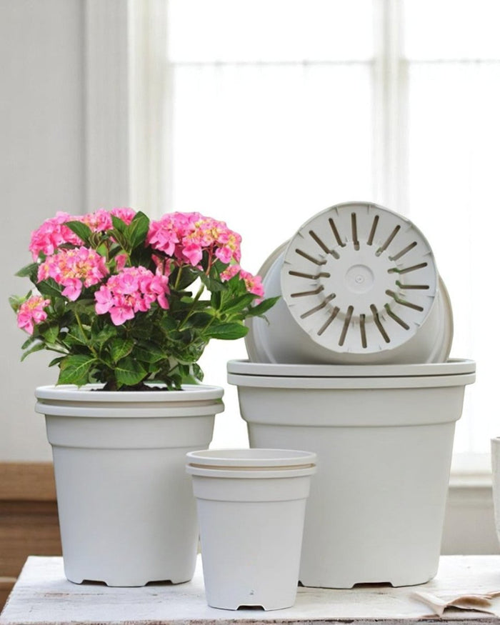 AirLite Growpot - XL - Planter - 5748857433831 - Tumbleweed Plants - Online Plant Delivery Singapore