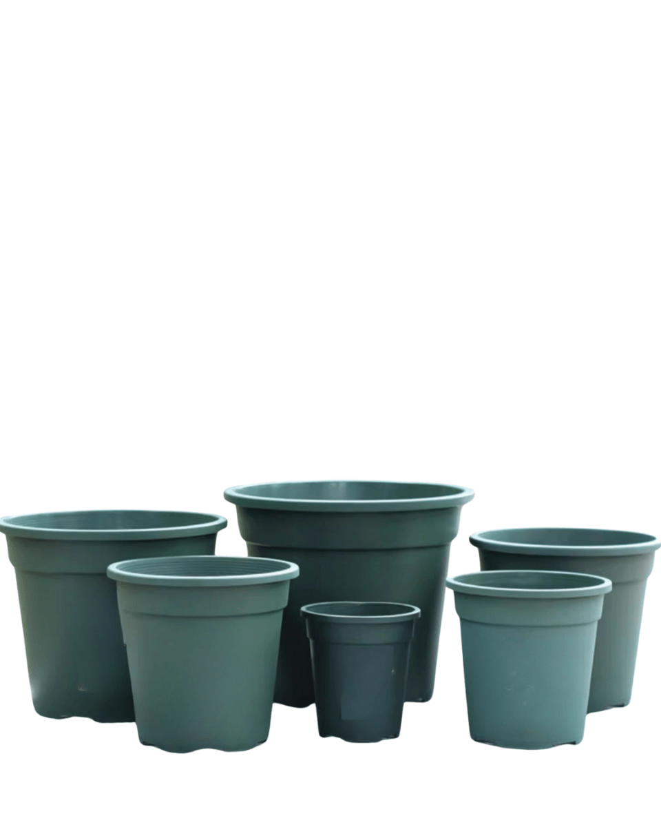 AirLite Growpot - XL - Planter - 5748857433831 - Tumbleweed Plants - Online Plant Delivery Singapore