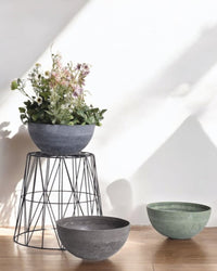 AirStone Bowl Pot (L) - Pots - 4612938219301 - Tumbleweed Plants - Online Plant Delivery Singapore