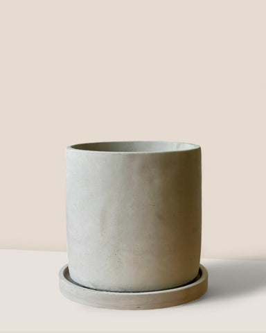 Medium Smoffy Cement Planter