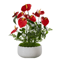 Anthurium Arrangement (Faux) - Artificial Plant - 1838465443527000070 - 0 - Tumbleweed Plants - Online Plant Delivery Singapore