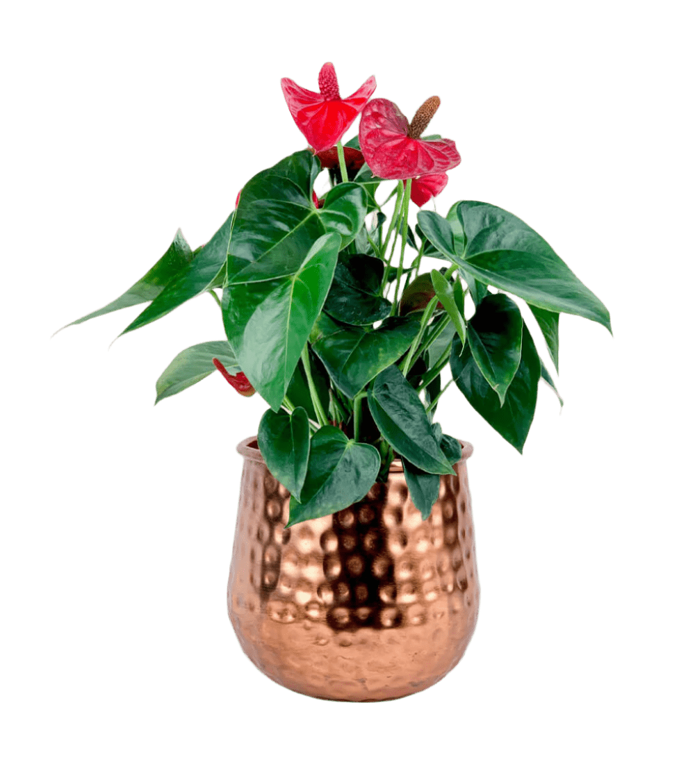 garath planter - medium