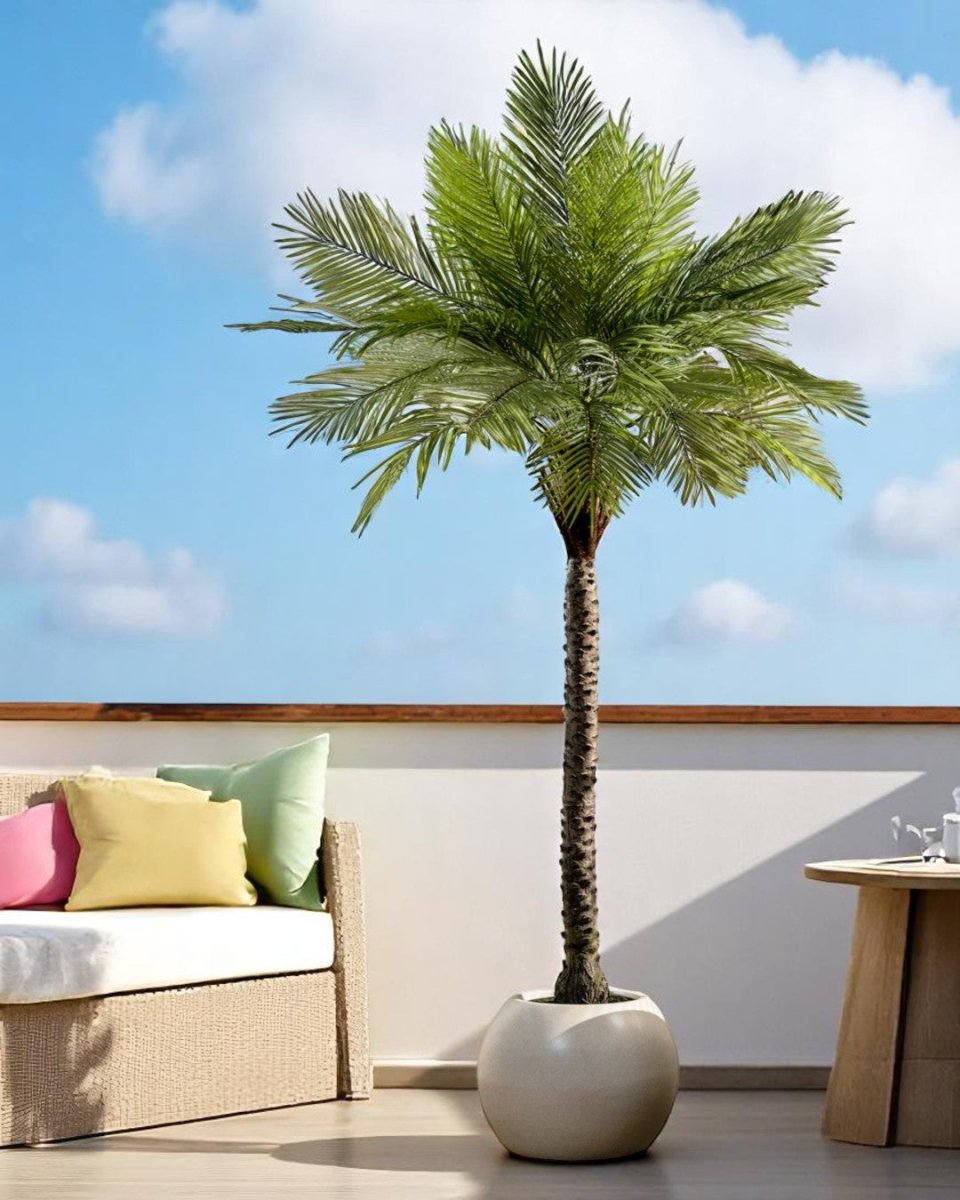 Areca Palm (Life - life Artificial) - Potted plant - 4857563185003 - Tumbleweed Plants - Online Plant Delivery Singapore