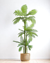 Areca Palm (Life - life Artificial) - Potted plant - 4857563185003 - Tumbleweed Plants - Online Plant Delivery Singapore