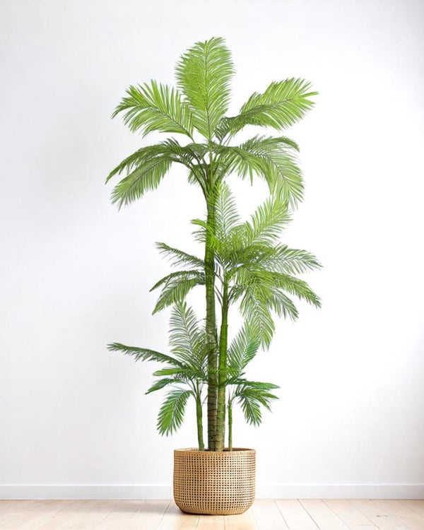 Areca Palm (Life - life Artificial) - Potted plant - 4857563185003 - Tumbleweed Plants - Online Plant Delivery Singapore