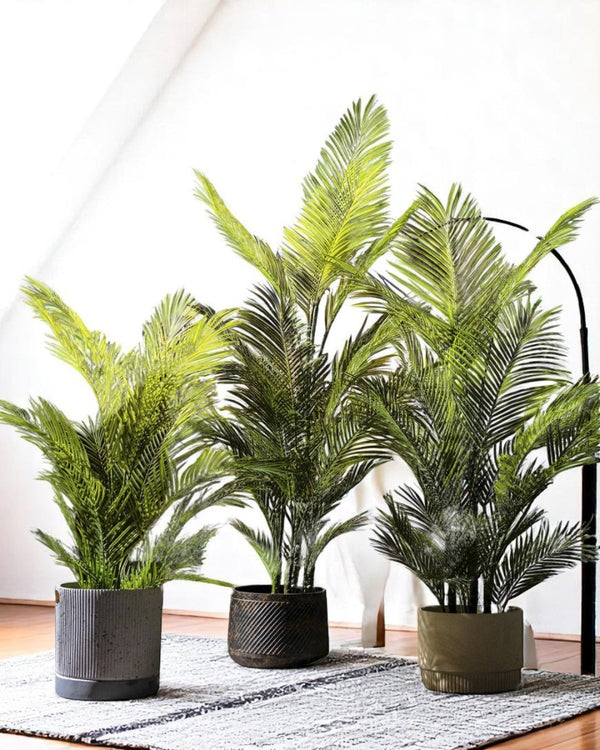 Areca Palm (Life - life Artificial) - Potted plant - 4857563185003 - Tumbleweed Plants - Online Plant Delivery Singapore
