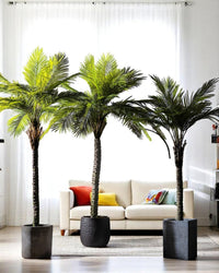 Areca Palm (Life - life Artificial) - Potted plant - 4857563185003 - Tumbleweed Plants - Online Plant Delivery Singapore