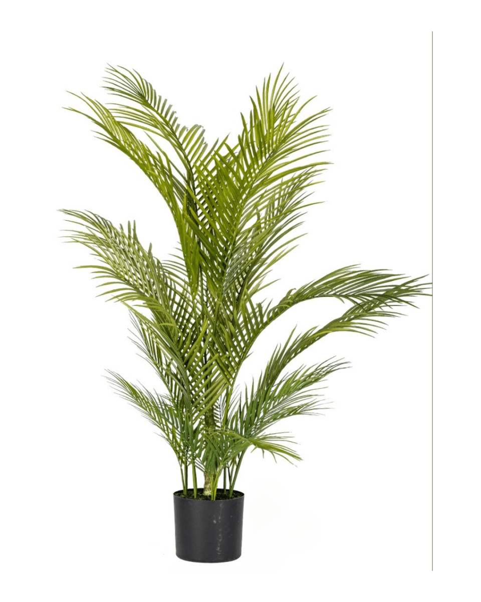 Areca Palm (Life - life Artificial) - Potted plant - 4857563185003 - Tumbleweed Plants - Online Plant Delivery Singapore