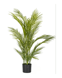 Areca Palm (Life - life Artificial) - Potted plant - 4857563185003 - Tumbleweed Plants - Online Plant Delivery Singapore
