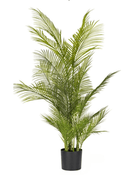Areca Palm (Life - life Artificial) - Potted plant - 4857563185004 - Tumbleweed Plants - Online Plant Delivery Singapore