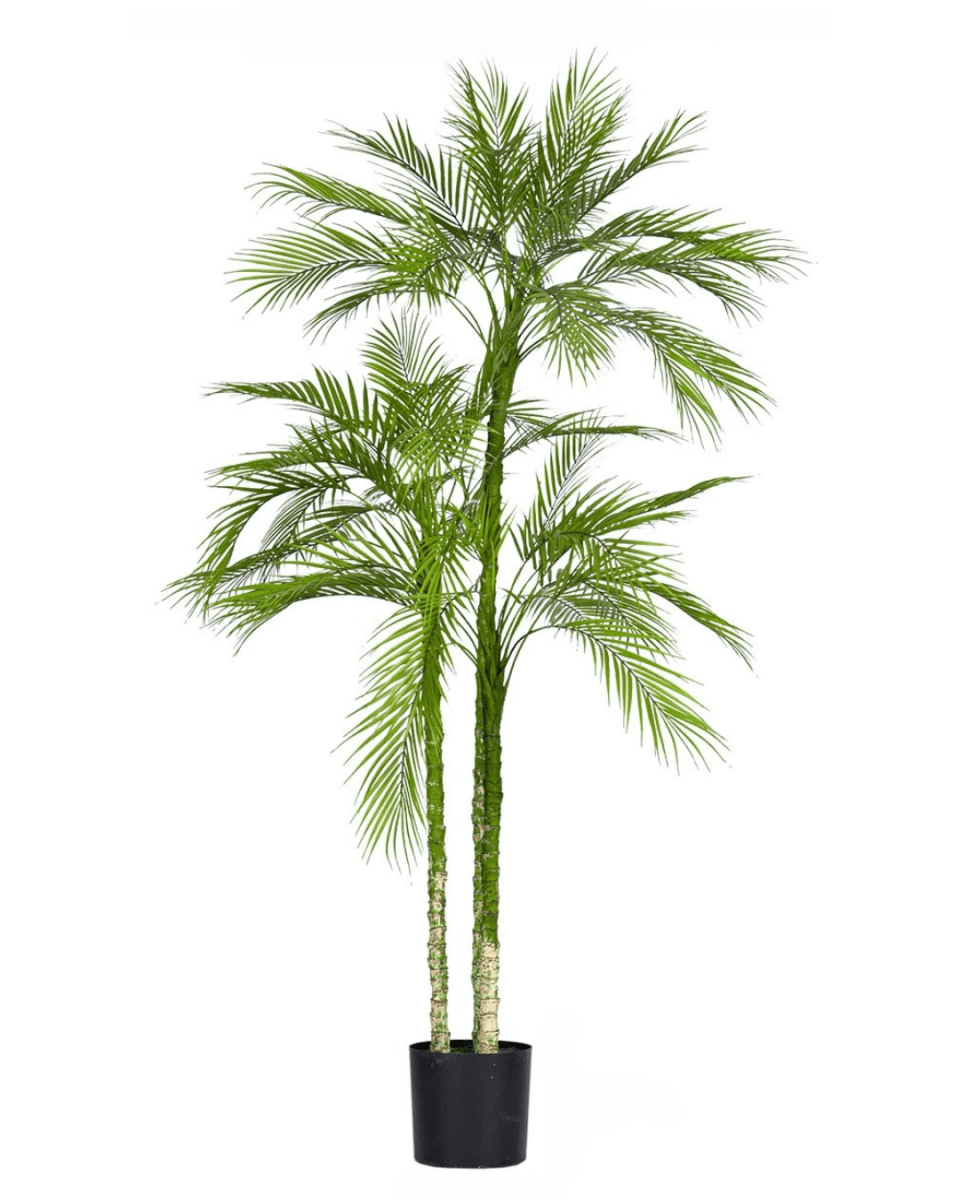 Areca Palm (Life - life Artificial) - Potted plant - 5052359161404 - Tumbleweed Plants - Online Plant Delivery Singapore