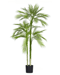 Areca Palm (Life - life Artificial) - Potted plant - 5052359161404 - Tumbleweed Plants - Online Plant Delivery Singapore